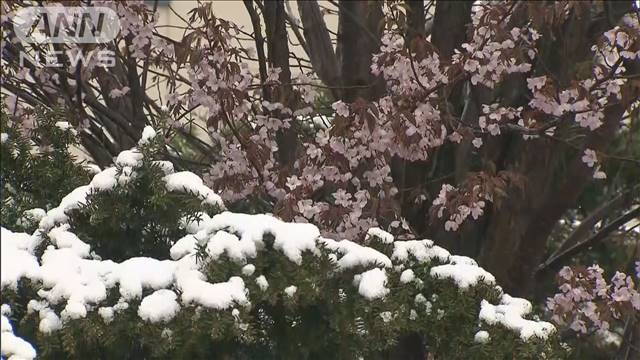 強い寒気　北海道で積雪に　午後は関東で天気急変も