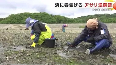 アサリ漁が解禁　資源保護のため市民の潮干狩りはなし　浜に春告げる＜岩手・宮古市＞