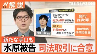 水原一平被告が司法取引に合意、大谷選手の口座から不正送金等の罪、今後の司法手続きは？【Nスタ解説】