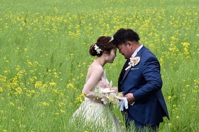 山形・新庄で「黄色の祝福」　春らんまんの菜の花畑で結婚式