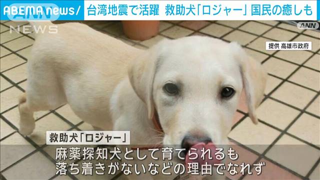 台湾地震で救助に活躍！英雄犬「ロジャー」　おちゃめな一面も　年内に引退へ