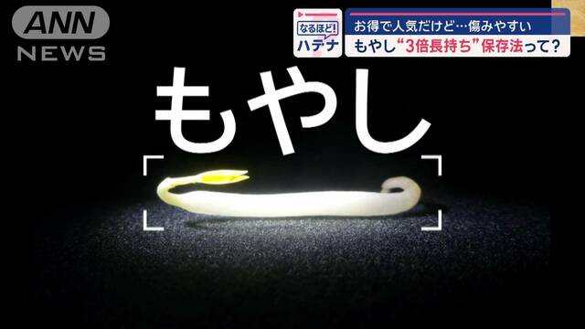 もやしが“3倍長持ち”簡単保存法って？「水のとりかえ」でシャキシャキ感キープ