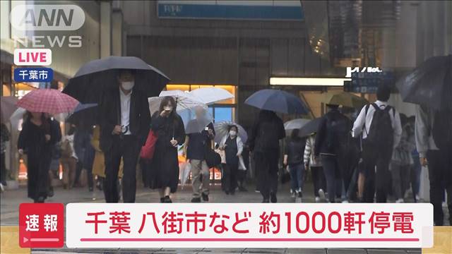 【速報】千葉・八街市など約1000軒で停電