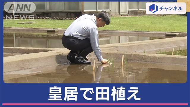 天皇陛下が「田植え」　皇居ではご一家で「養蚕」も