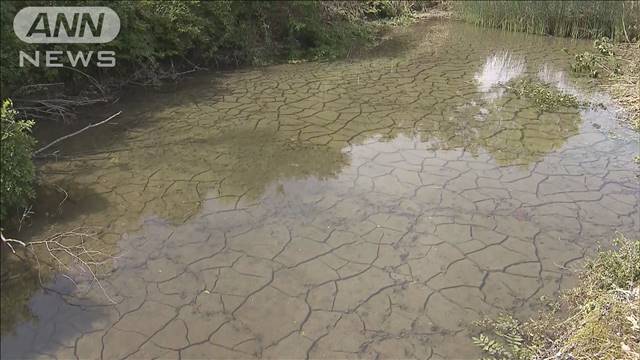 井戸など水位低下14カ所確認　リニアのトンネル工事が影響か