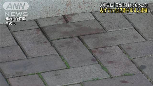 大学生に「金出せ」脅し殴ったか　逃げていた17歳少年4人逮捕