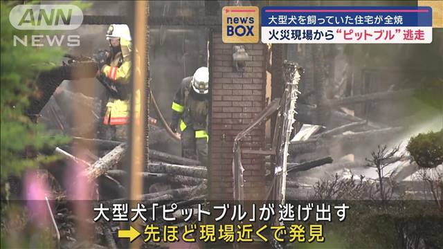 火災現場から“ピットブル”逃走　大型犬を飼っていた住宅が全焼