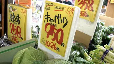 「キャベツ」が3倍! 1玉1000円超も　トッピング中止・モヤシで代替も