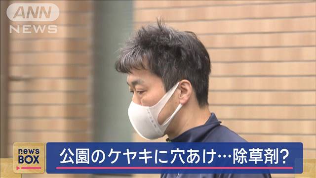 公園のケヤキに穴あけ…除草剤を？　「掃除が大変だった」男を逮捕