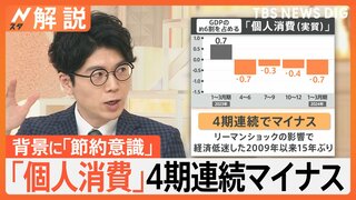 GDPマイナス成長の要因は？「個人消費」4期連続マイナス　背景に「節約意識」根強く【Nスタ解説】