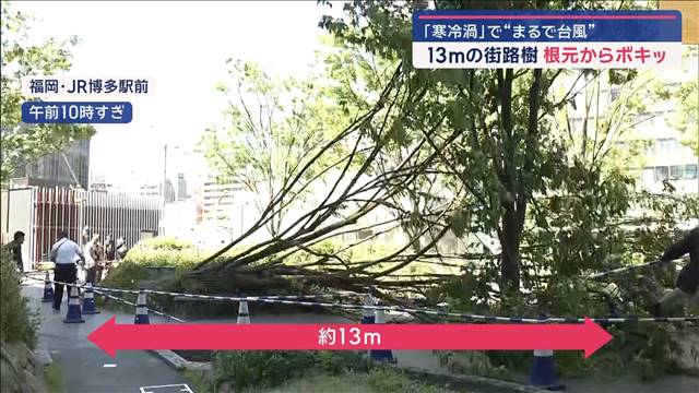 「寒冷渦」で“まるで台風”　気温急降下は“天気急変”サイン