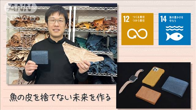 【SDGs】魚の皮を捨てない未来をつくる