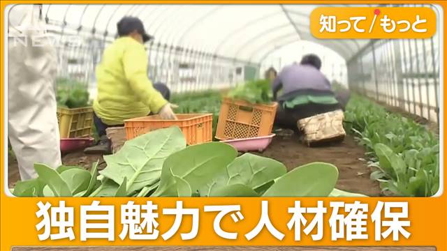 ベトナム人労働者の保険を1割負担で母国家族にも　独自魅力で人材確保　山梨県