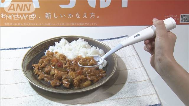 塩味など増強するスプーン発売 減塩食の味への不満に