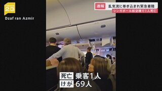 機内のシートに“血痕” シンガポール航空がタイに緊急着陸 “乱気流”に巻き込まれ1人死亡　69人けが【news23】