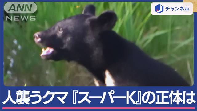 「スーパーK」は駆除 人襲う凶暴クマほかにも　専門家「繁殖期で防衛行動」