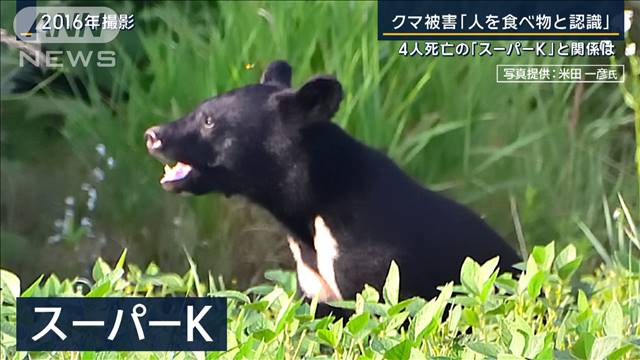 「人を食べ物と認識」4人死亡の『スーパーK』と関係は…県が警戒呼びかけ　クマ被害