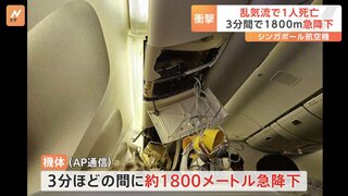 機内の天井に“血痕”のようなものも 乱気流に巻き込まれたシンガポール航空機　3分間で約1800メートル急降下か