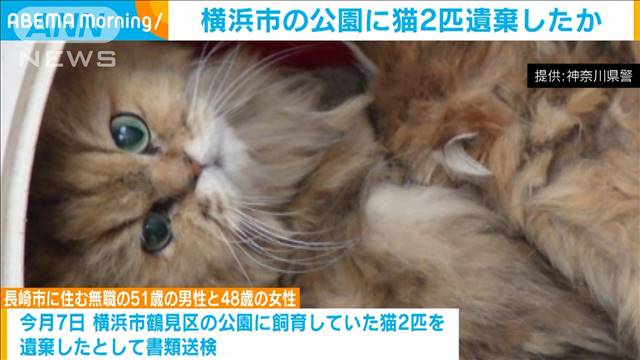 「いけないことだと…」横浜市の公園に猫2匹を遺棄した疑い　夫婦を書類送検