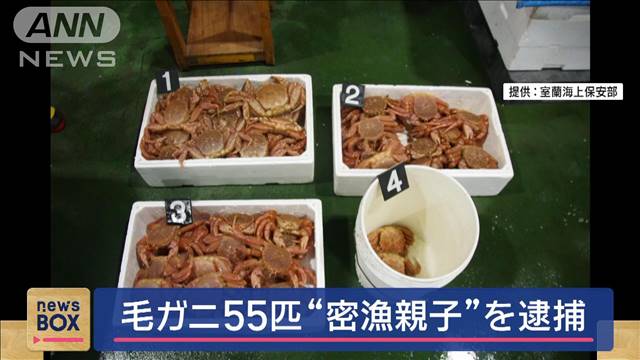 毛ガニ55匹　“密漁親子”を逮捕　北海道