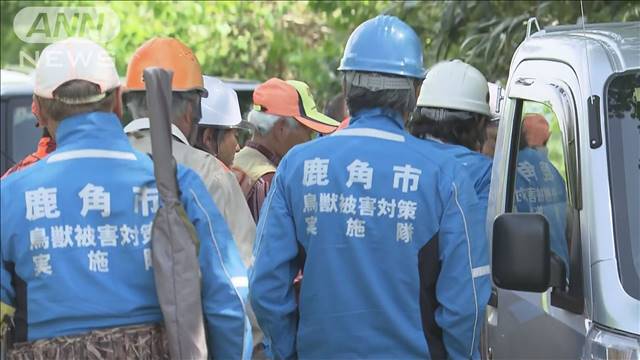 秋田の山林でクマに襲われたか　遺体は青森県の男性と判明