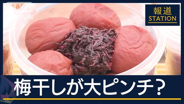 夏本番前に…日本の“伝統の味”梅干しが危機…食品衛生法の改正で“厳格化”