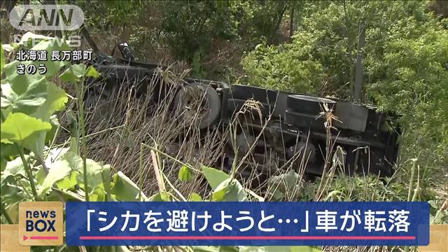 「シカを避けようと…」車が道路から転落　北海道