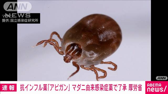 【速報】抗インフルエンザ薬「アビガン」をマダニ由来の感染症治療薬として了承