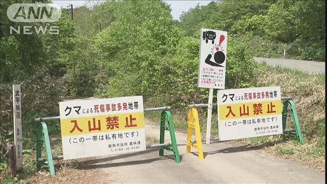 秋田の山林でクマに襲われたか　男性の遺体失血死の可能性