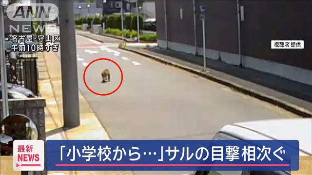 「小学校から…」サルの目撃相次ぐ　名古屋市