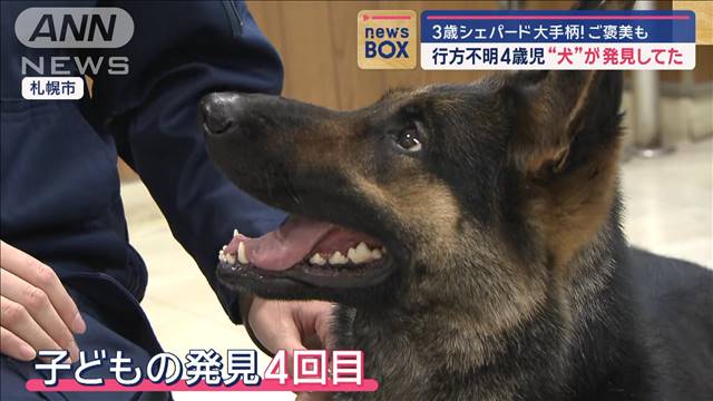 3歳シェパード大手柄！ご褒美も…　行方不明4歳児“犬”が発見してた