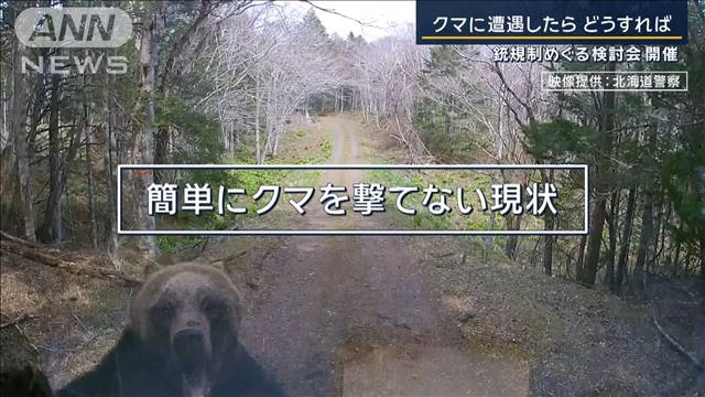 環境省「人命に関わる」法改正も…猟銃の使用“原則”禁止　北海道で相次ぐクマ被害