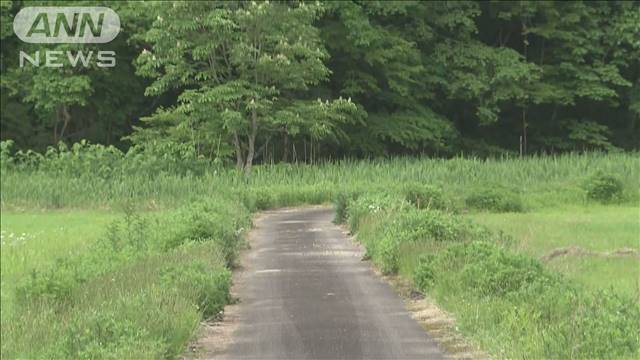 女性がクマに襲われけが　ワラビ採りで山に入る　秋田