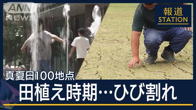 「4日連続の雨がほしい」コメ農家は深刻な水不足に苦悩…各地で真夏日100地点越え