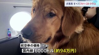 犬専用！空の便が初運行　すべてファーストクラス　犬用シャンパンや“ドッグファースト”の機内食　米国内線片道約94万円