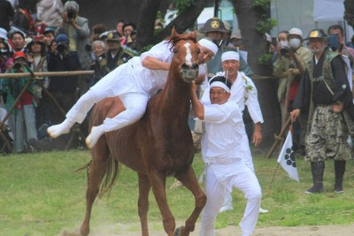 5月に前倒しの相馬野馬追が閉幕　人も馬も熱中症減「未来に残せる」