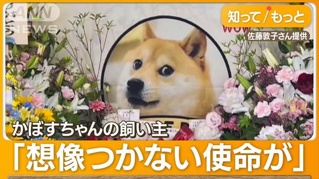 “世界一有名な柴犬”最期の別れ　マスク氏注目かぼすちゃん　海外メディアも集結