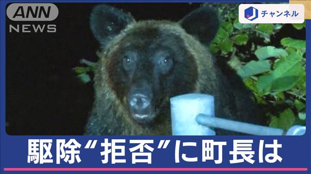 クマ駆除要請“拒否”「危険なのに報酬安い」ハンターの訴えに町長は…