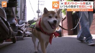 警察官「すごく頼もしいです」愛犬との散歩×街の見回り活動「愛犬パトロール隊」韓国で急拡大