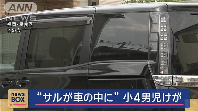 “サルが車の中に”小4男児けが　福岡