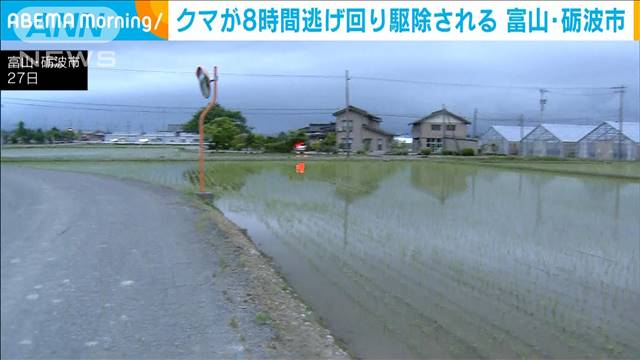 クマが8時間籠城の末 駆除される　富山・砺波市　