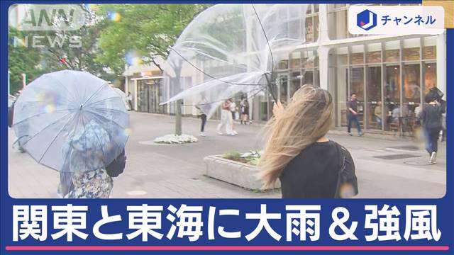 帰宅時間帯を直撃 影響は？東海から関東“台風並み”雨風