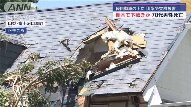 山梨で突風被害　軽自動車の上に倒木で下敷きか　70代男性死亡