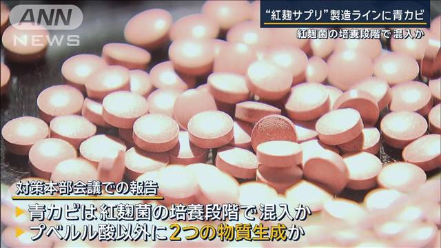 紅麹菌の培養段階で混入か…“紅麹サプリ”製造ラインから青カビ検出