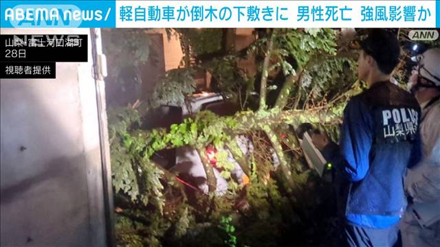 軽自動車が倒木の下敷きに…　70代男性死亡　“突風”影響か　山梨・富士河口湖町