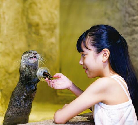 DMMかりゆし水族館、18歳以上が2400円→1700円に！　6月限定で沖縄県民対象に「しまんちゅ割」