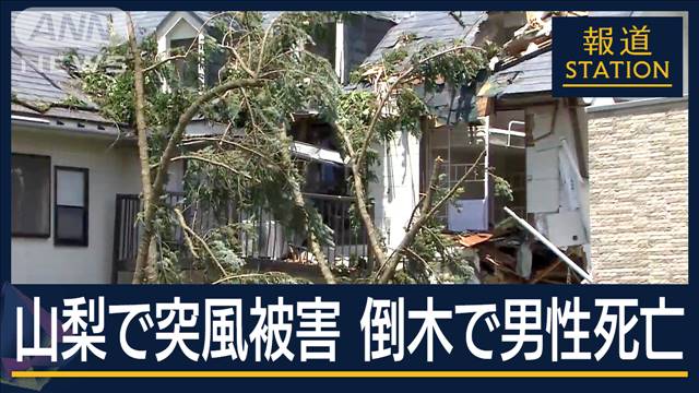 一瞬でアパート破壊か…山梨で突風　倒木で男性死亡『台風1号』週末に関東など接近か