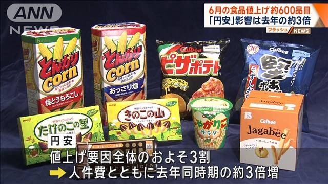 6月の食品値上げ 約600品目 「円安」影響は去年の約3倍