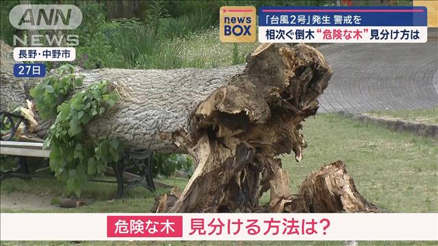 相次ぐ倒木“危険な木”見分け方は　「台風2号」発生 警戒を