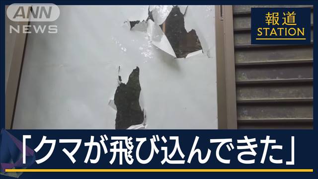 目的はハチミツ？クマが“住宅侵入”70代夫婦襲う　なぜ“人が住む場所”近くに出没